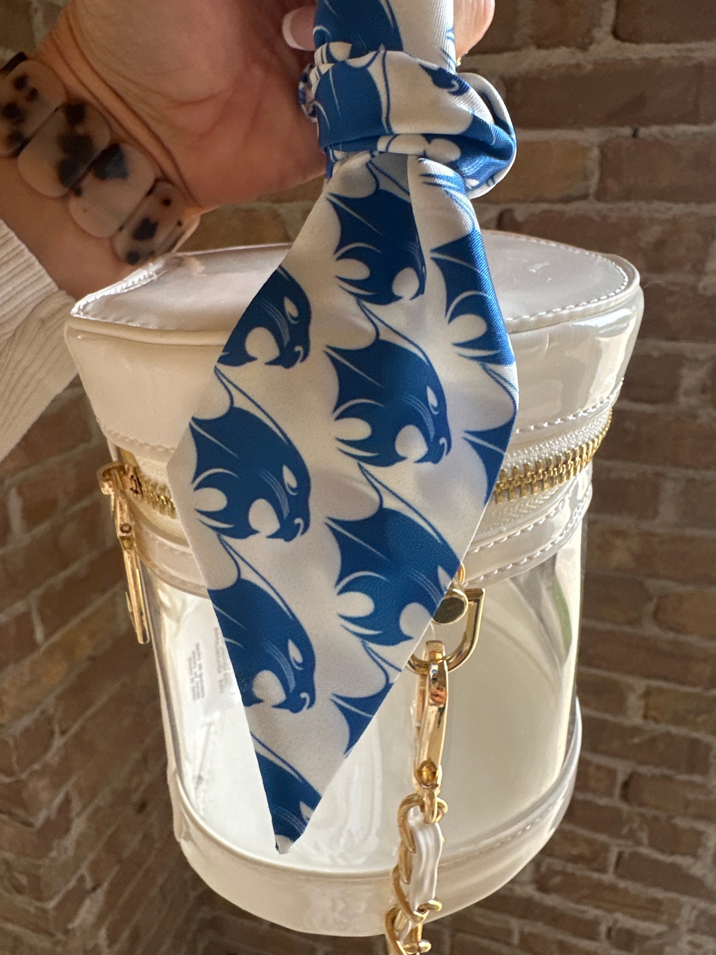 Clear Stadium Bucket Bag
